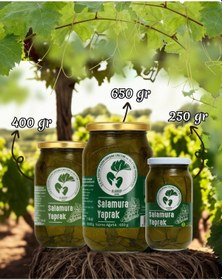 Resim Salamura Yaprak Cam Kavanoz 650 Gr 