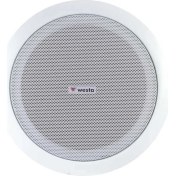 Resim Westa WS-2035T 20 cm 8 Inch 30 Watt Alçıpan Hoparlör Trafolu 
