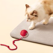 Resim Şarj Edilebilir USB Kedi Oyuncak, Uzun Kuyruklu Etkileşimli Top, Tüm Irklar için Eğitim Ayrıntısı, 36V veya Altı Voltaj, Plastik Malzeme, Sarı ve Mor Işık Göstergeleri ile 