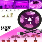 Resim USB Güçlü 5V 2835 LED Yetiştirme Işığı, 60 Tam Spektrum LED'li Her Metre, Kırmızı Mavi Spektrum Bitki Lambası, İç Bahçe Yetiştirme Için Yüksek Yoğunluklu Aydınlatma, Tohumlar, Çiçekler ve Sebzeler İçin Ayarlanabilir Parlaklık ve Spektrum Genişliği, Pil Gerektirmez, Bahçe Aydınlatma | Tam Spektrum Işık | Enerji Verimli LED Lamba, Bitki Büyüme Lambası, Yetiştirme Işıkları 