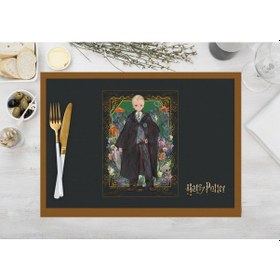 Resim Adawall Home Harry Potter Characters Kumaş Amerikan Servis 4'lü Çok Renkli 