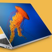 Resim Turuncu Deniz Anası Notebook Sticker, Laptop sticker,, Hp Sticker, Asus Sticker, 15.6 inç Sticker 