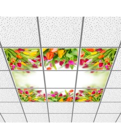 Resim Gök Panel 60 x 60 LED Panel Aydınlatma Desenli 3x3 9'lu Grup 46510246SA 