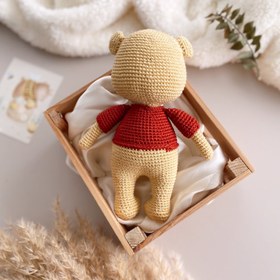 Resim Amigurumi Winnie The Pooh Winny 