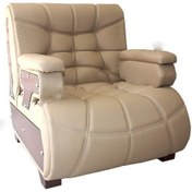 Resim Jaguar Tpk Deri Tekli Kanepe Bej 