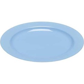 Resim Plastik Mavi Tabak 23 Cm - 10 Adet 