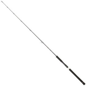 Resim Daiwa Legalis Oceano Jg 173 Cm 100-300 Gr Jig Kamış Legjg581xhsbf 
