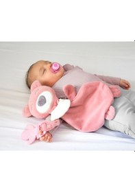 Resim Babyjem Diş Kaşıyıcılı Uyku Arkaşdaşım Gül Kurusu 