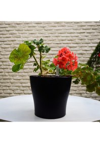 Resim Biorfe Akıllı Saksı, Kendi Kendini Sulayan 4 Adet Saksı 