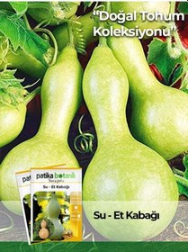 Resim 5 Adet Su - Et Kabağı Lagenaria Siceraria Tohumu 