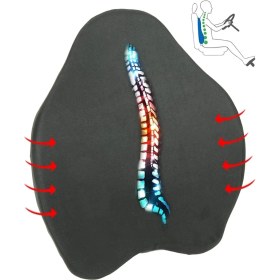 Resim Devix Ortopedik Anatomik Bel Yastığı Sırt Destek Minderi Araba Ofis Sandalye Yastık Visco 