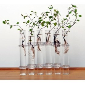 Resim Lijinxu Temizle 6 Tüp Şekli Çiçek Cam Vazo Balık Tankı Ev Diğer 