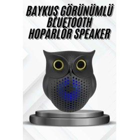 Resim Techno Stock Bluetooth Hoparlör Tws Kablosuz Rgb Işıklı Dekoratif Taşınabilir Baykuş 