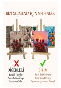 Resim Resim Verniği 500 Ml Su Bazlı 1 Adet Ve Yassı Patpat Sünger Fırça Seti 3 Lü 1 Paket Resim Parlatıcı Vernik Hobi Sanat 