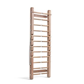 Resim Pent SCALA - Luxury Fitness Wall Bar | Advance - Black / Black Ash 