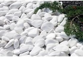 Resim Beyaz Dolomit Taş 1 Kg 2,5-4 Cm bahçe Süs Taşı Dekoratif Taş 
