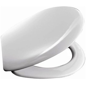 Resim Abs Klozet Kapağı 