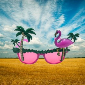 Resim Parti Gözlükleri Lüx Flamingo Modelli Eğlenceli Ve Şık Parti Aksesuarı Diğer 