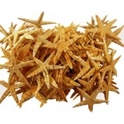 Resim Genel Markalar Deniz Yıldızı Natural 4 Cm - 6 Cm (100 Adet) 