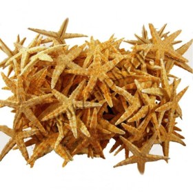 Resim Genel Markalar Deniz Yıldızı Natural 4 Cm - 6 Cm (100 Adet) 