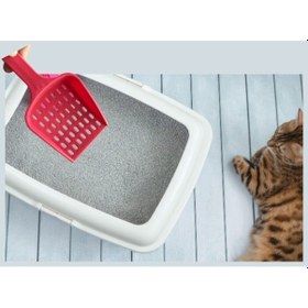 Resim Evcil Hayvan Kedi Kum Küreği 