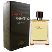 Resim Terre De Hermes Classıc Home 100 ML Oryantal 