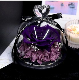 Resim Sevgililer Günü Noel Mor Hediyesi İçin Işıklı Cam Kubbede Korunmuş Çiçek Gül 
