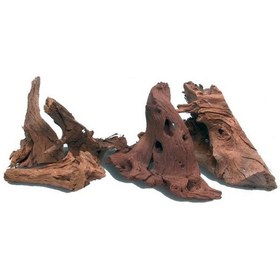 Resim Akvaryum Dekoru Mango Kökü Mangrov 