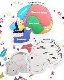 Resim Meraklı Zihinler İçin Eğlenceli Serüvenler 3’lü Set | Bitkinin Serüveni + Kafanın Yapısı + Benim Şehrim 