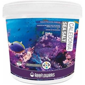 Resim Reeflowers Caledonia Sea Salt (Deniz Tuzu) 22.5 KG 