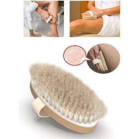 Resim Doğal At Kılı Selülit Fırçası Selülit Karşıtı Fırça Doğal At Kılı 