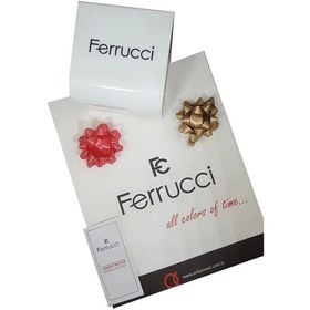 Resim Ferrucci Gümüş-beyaz Çelik Kordon Function Yeni Sezon Erkek Kol Saati Sdfer073 Gümüş - Beyaz 