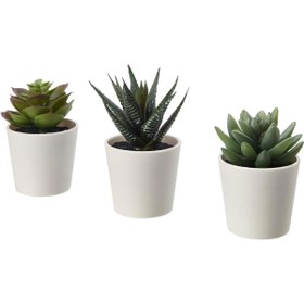 Resim IKEA Fejka Kaktüs 3 Lü Set 6 Cm Yapay Bitki Çiçek Saksılı Kaktüs 