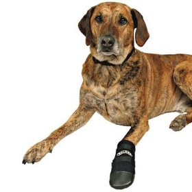 Resim Trixie Köpek Çorabı Neopren 2 Adet Siyah Medium 