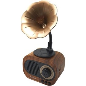 Resim Everton Rt707 Bluetoothusbsdfm Nostaljik Radyo 