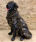 Resim By Ari Golden Köpek Bahçe Dekoru Bd318-1 Diğer 