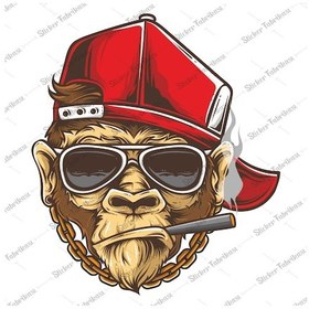 Resim Puro Sigara Içen Maymun Sticker 00251 