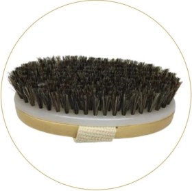 Resim Doğal At Kılı Fırça - Masaj ve Selülit Fırçası 