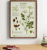 Resim Anason Botanik, Poster 