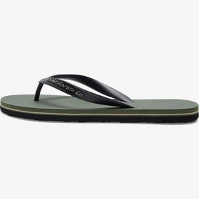 Resim Quiksilver Molokai Core Erkek Terlik Yeşil 42 Yeşil 
