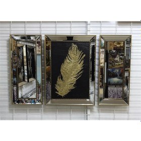 Resim Ayna Çerçeveli Altın Simli Tüy Tablo Seti 