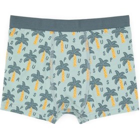 Resim U.S. Polo Assn. Erkek Çocuk 3'lü Boxer Takım 50319388-VR048 