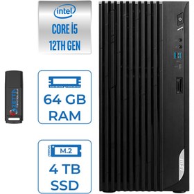 Resim MSI Pro DP180 Intel Core I5 12400 64GB 4tb SSD Intel UHD Grafik Freedos Masaüstü Bilgisayar MS422XTRF19 + Zettausbbellek 