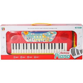 Resim 808-13 Şarjlı Org - Canem 