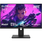 Resim DRAGOS ELITESeries E245FHD300 1ms FHD 300Hz 24.5" FreeSync G-Sync IPS Pivot Oyuncu Monitörü 