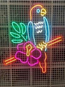 Resim Papağan Neon Led Işık Renkli 