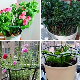 Resim 4 Adet Yeşil Plastik Saksı, İç ve Dış Mekan Kullanımına Uygun - Hava Koşullarına Dayanıklı Modern Tasarım, Çoklu Boyut Seçenekleri ile Ev, Ofis ve Bahçe Dekoru için İdeal 