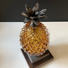 Resim Ananas Kitap Desteği - Günbatımı 
