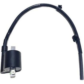Resim Ateşleme Bobini Actıva S Oem (550555871) 