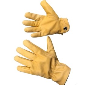 Resim Remus Sanches Dana Deris Bushcraft Outdoor Spor, Kamp, Aktivite Eldiveni L&XL Beden No;10 